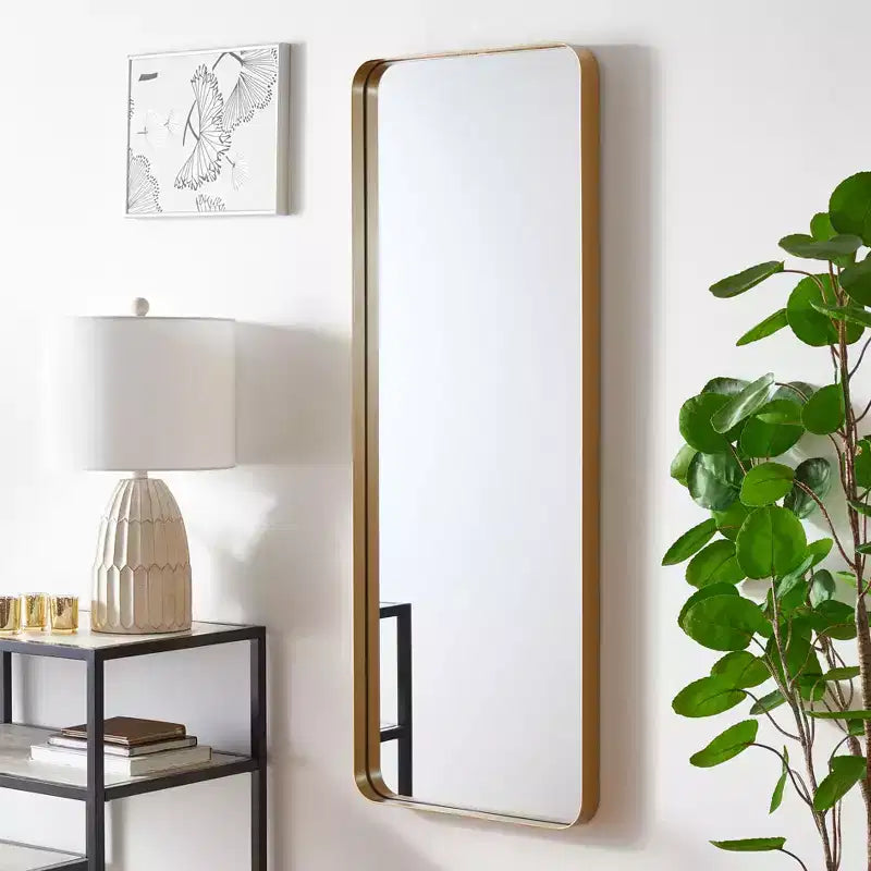 Miroir 18 x 48