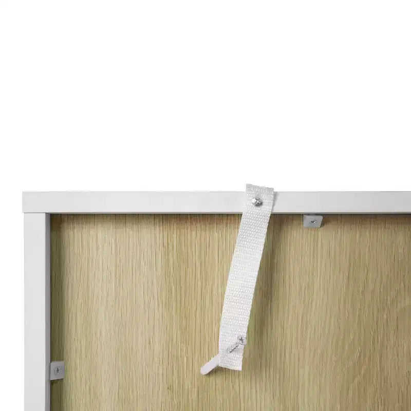 Armoire de rangement moderne avec portes en acrylique et étagère réglable